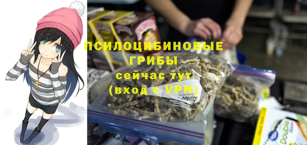 Альфа ПВП Осташков