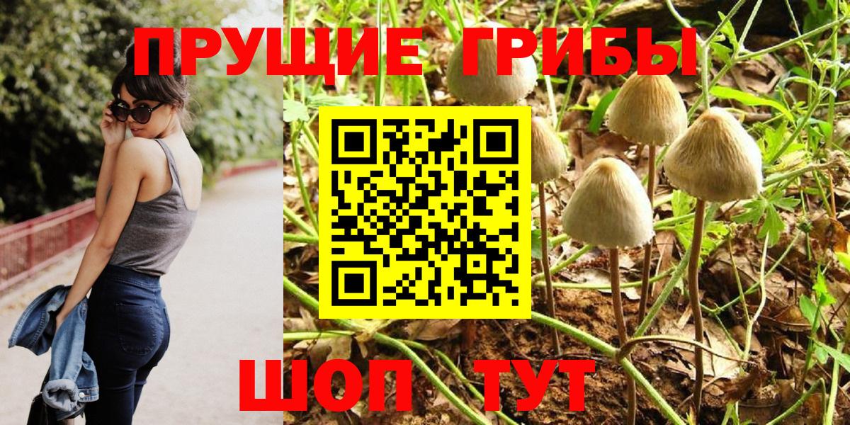 Саратов  Галлюциногенные грибы Cubensis  Вход с VPN 