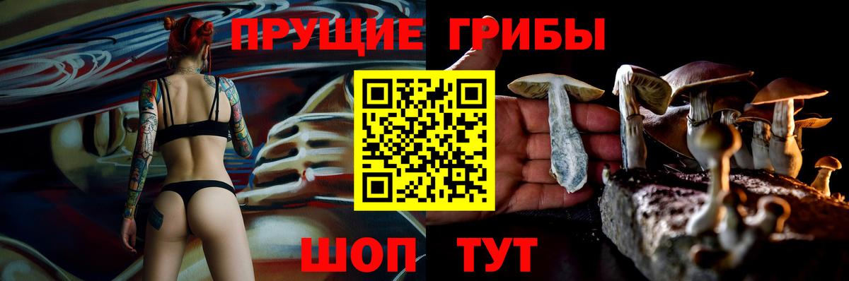Галлюциногенные грибы GOLDEN TEACHER Саратов